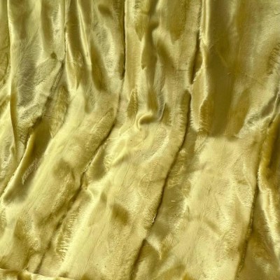 photo_2026-01-23_21-52-20