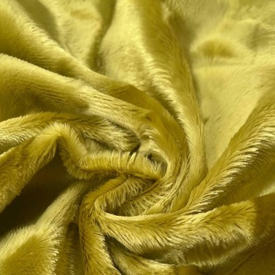 photo_2026-01-23_21-52-23